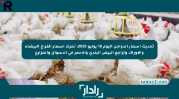 تحديث أسعار الدواجن اليوم 18 يوليو 2025: تحرك أسعار الفراخ البيضاء والأوراك وتراجع البيض البلدي والأحمر في الأسواق والمزارع